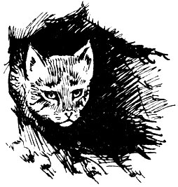 Степной кот смотрит из расщелины